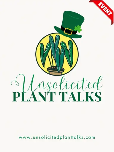 Hoyas At Their Finest, Right Here!