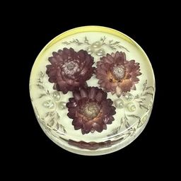 Vintage Round Lucite Paperweight Dried Flowers and Sea Shells