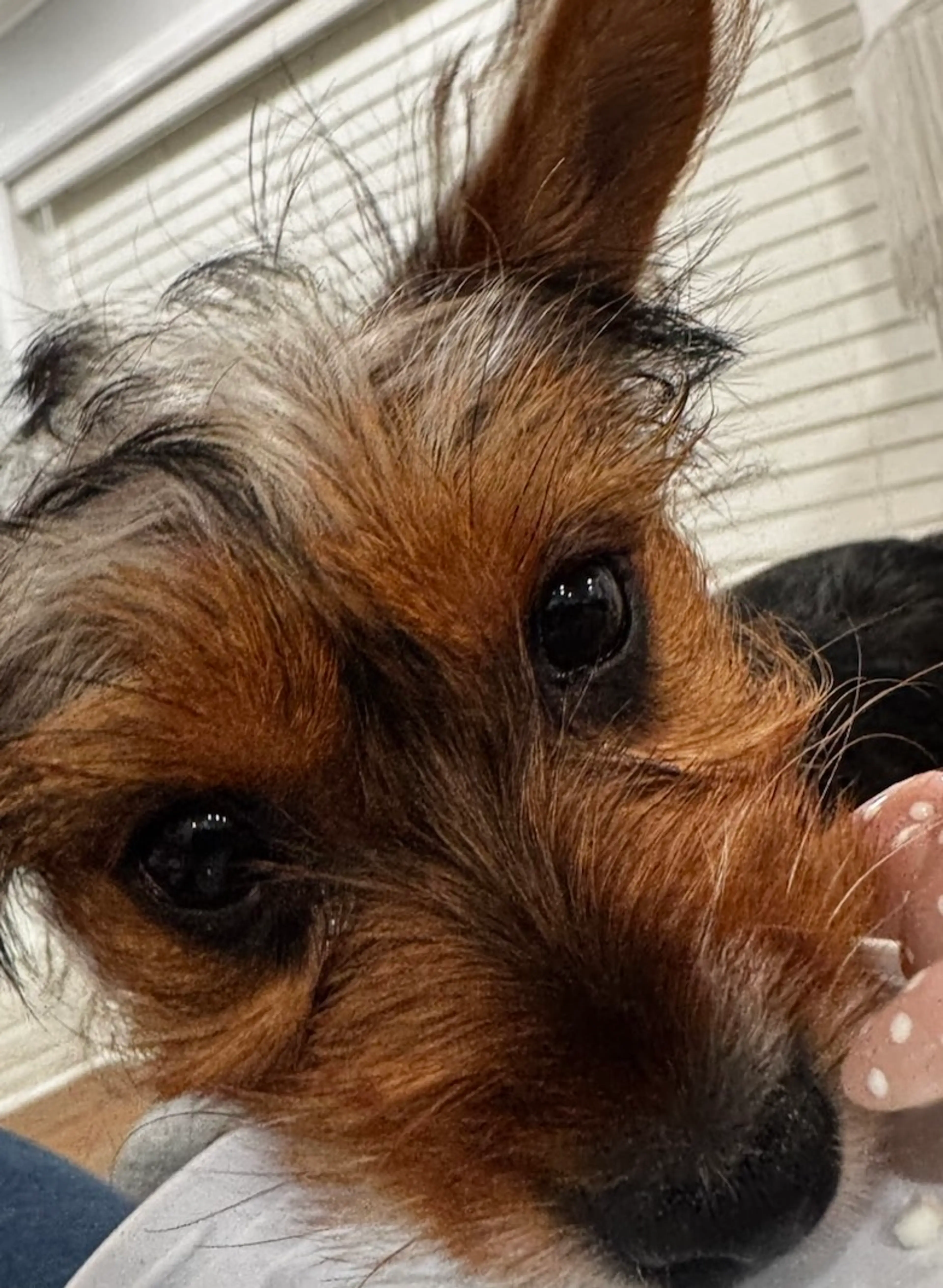 Vintage Jewelry M&m Cohost 