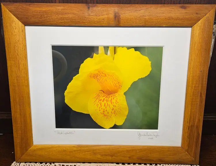 Signed Canna Lily Photo by Glenda Baker Taylor "Red Splatter" 2005 17" x 12.5"