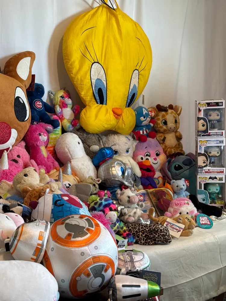 100+Plush! Vintage/Disney/TY/Squish/Funkos & More!
