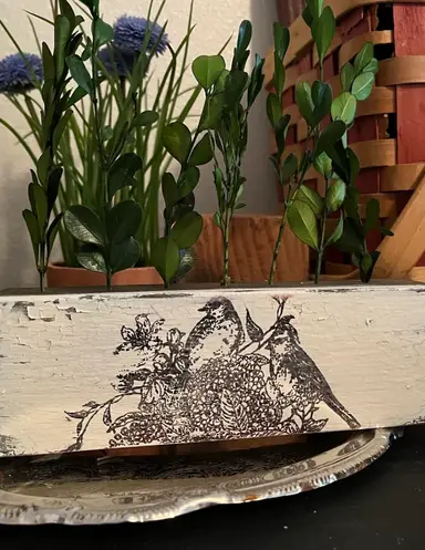 Shop The Shelves With Me!