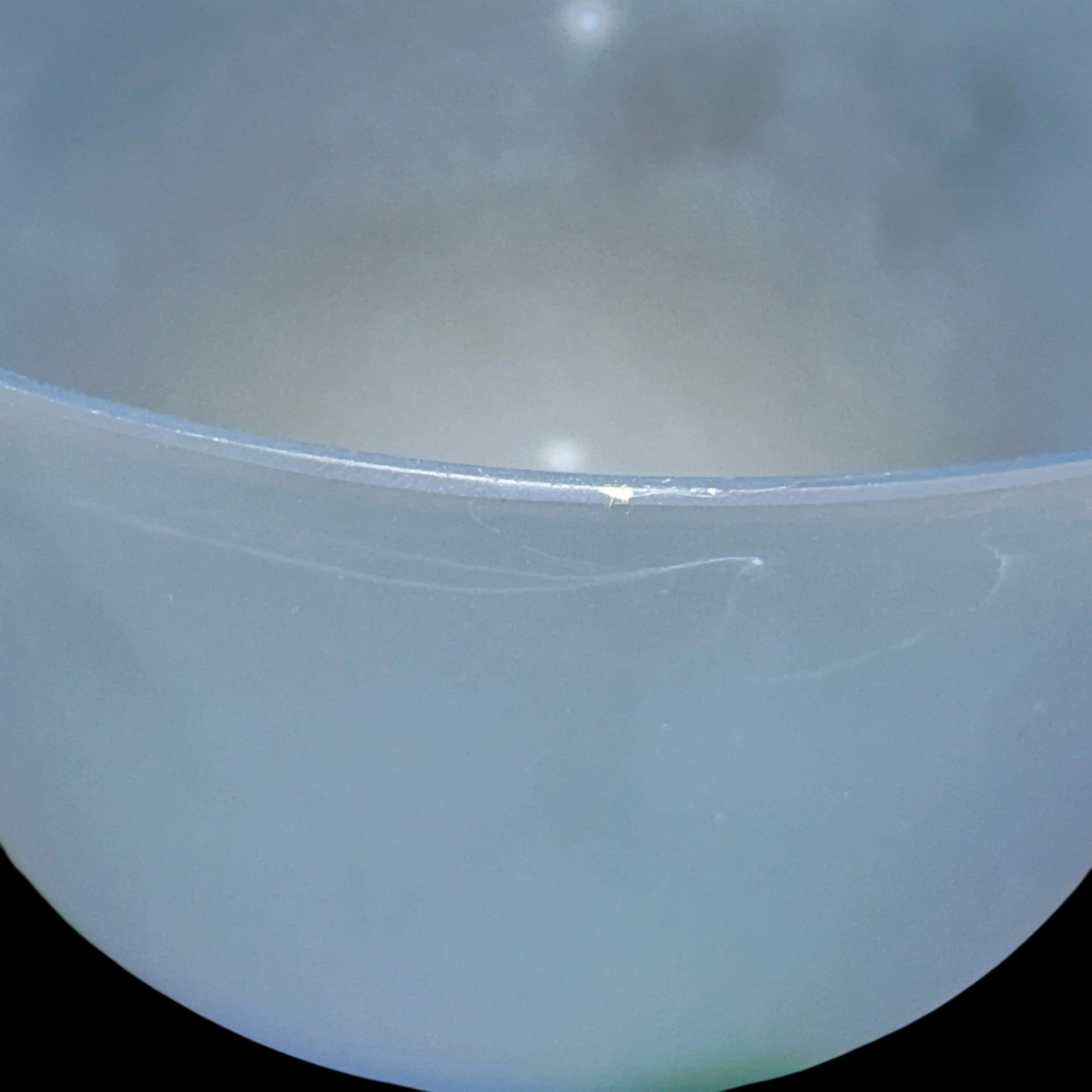 Image 4 of 7