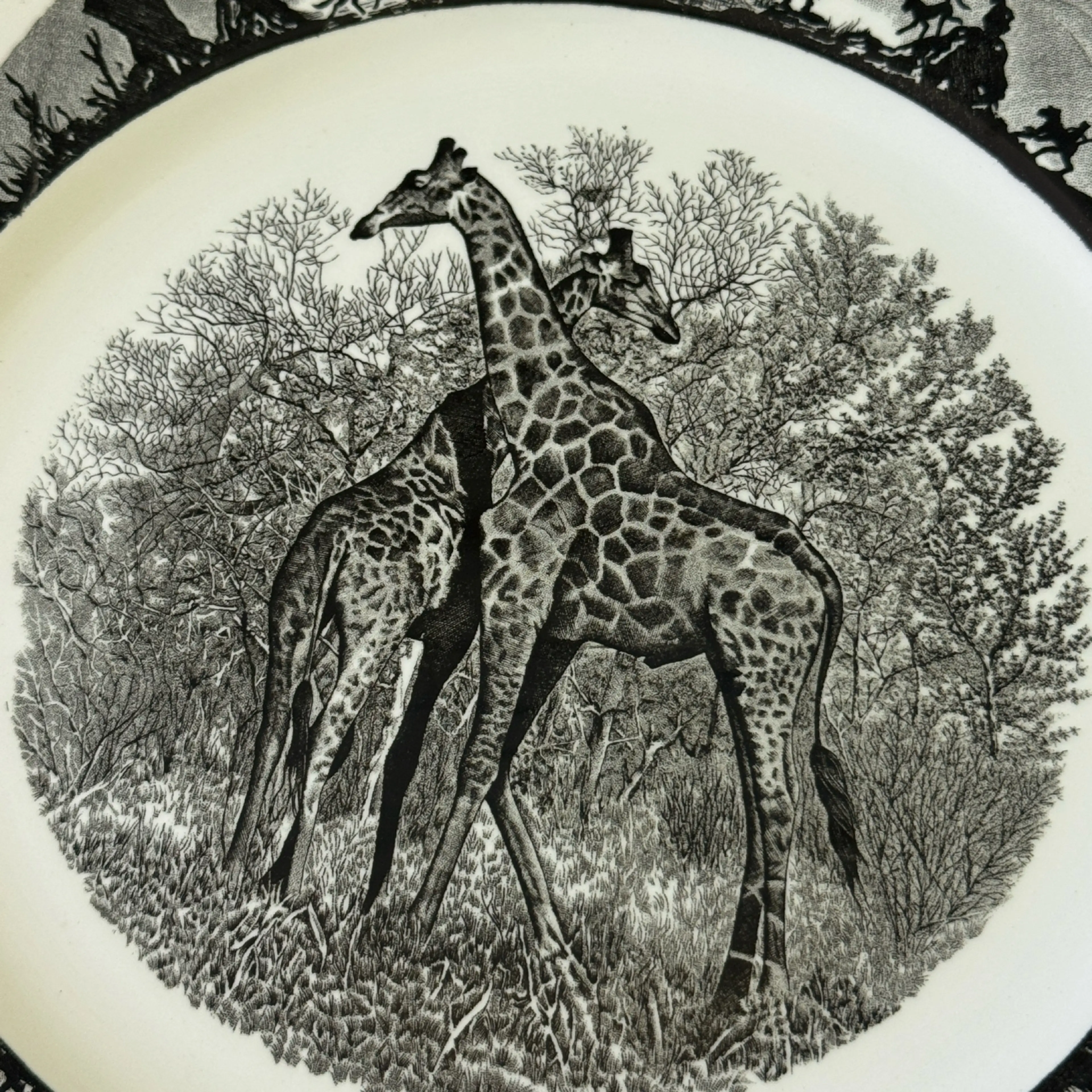 Image 2 of 6