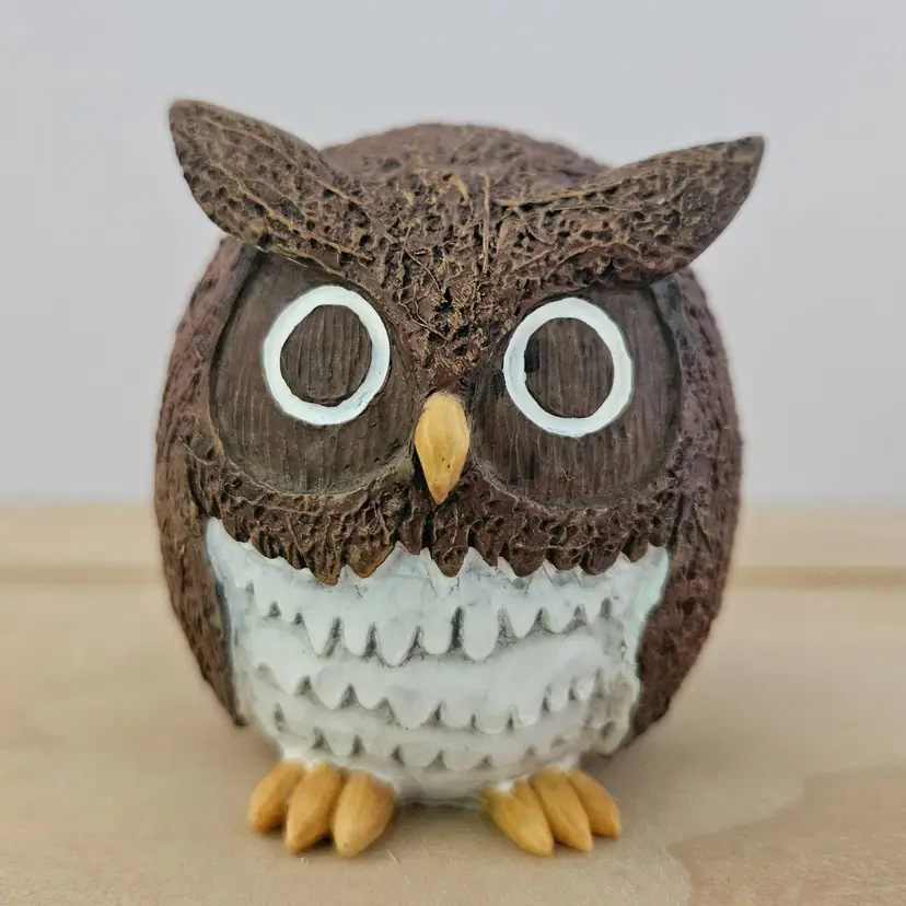 Home Grown by Enesco Coconut Owl 2010 Collectible Retired Figurine #4022978