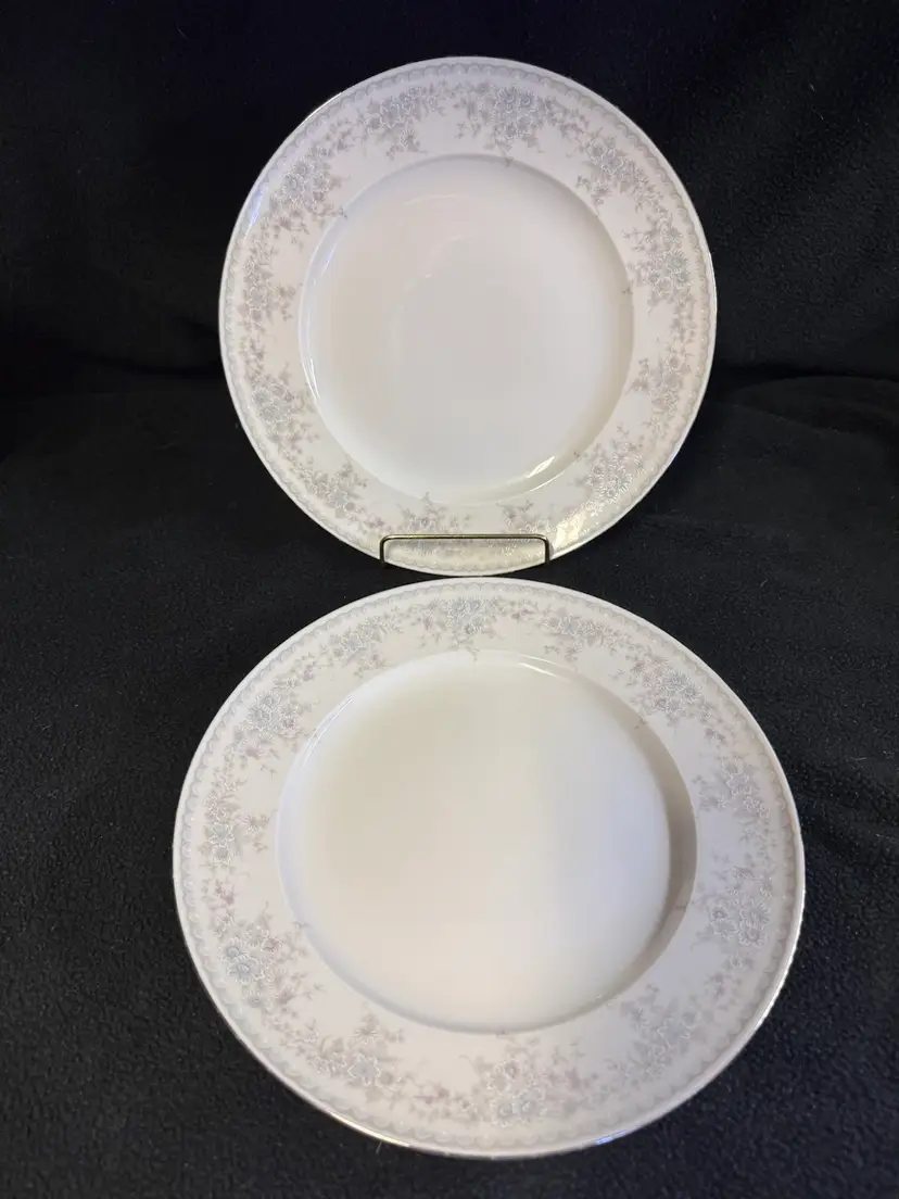 (2) Vintage Johann Haviland Bavaria Germany Dinner Plates 10” Royal Lace China