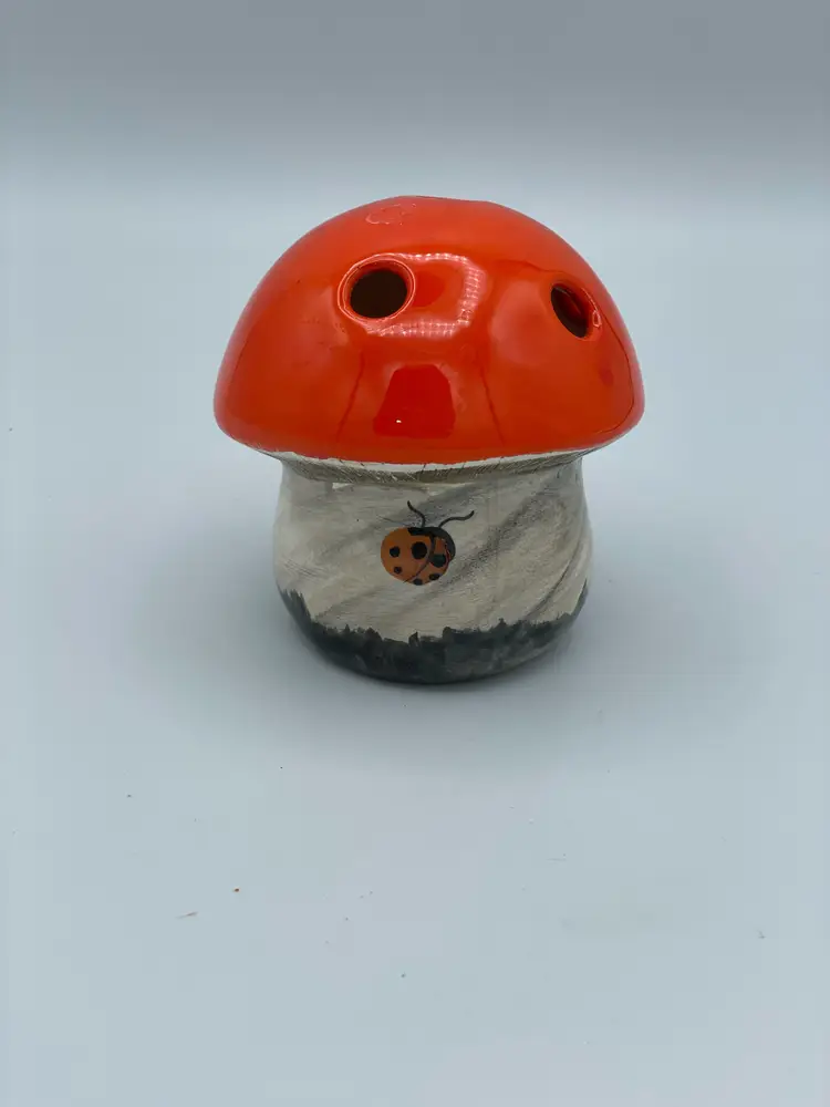 Mushroom Flower Frog