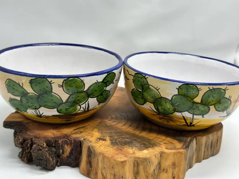 Talavera Castillo Folk Art Cactus Bowls Pair Mexico Pottery Hand Painted Southwest