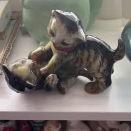 Cats 🐈‍⬛ Laying