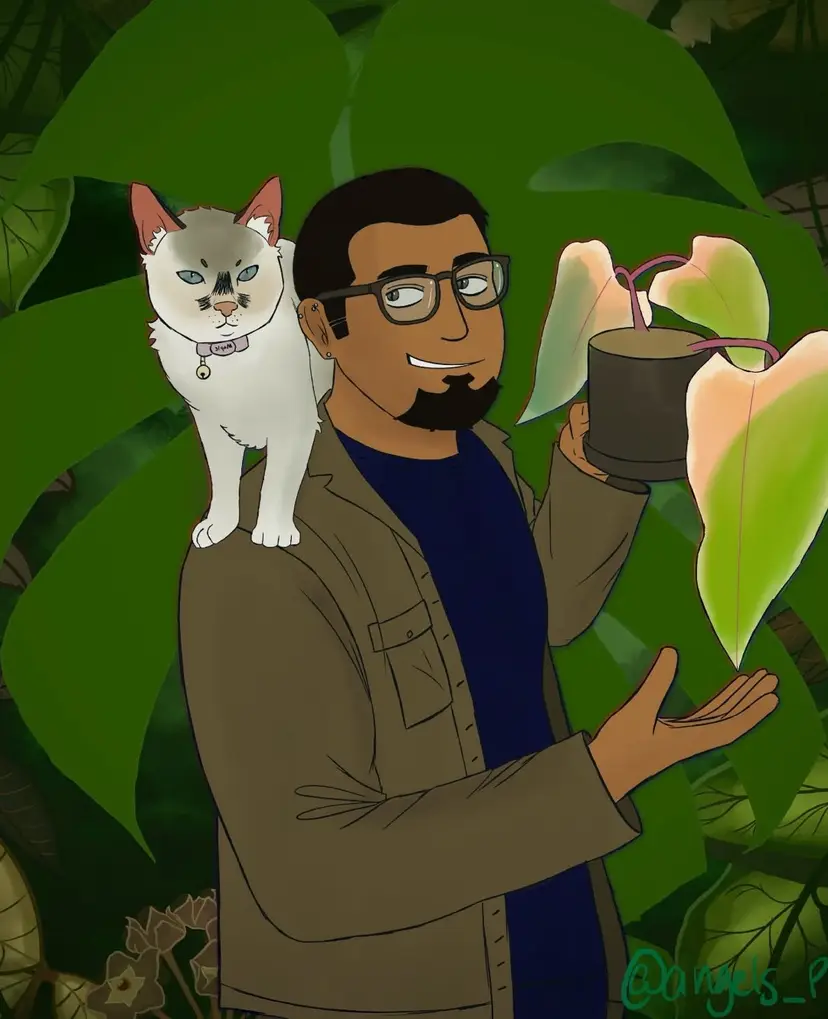 Livestream thumbnail