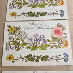 Vtg Fold & Seal Notes Flowers Of Colonial Williamsburg 10 cards