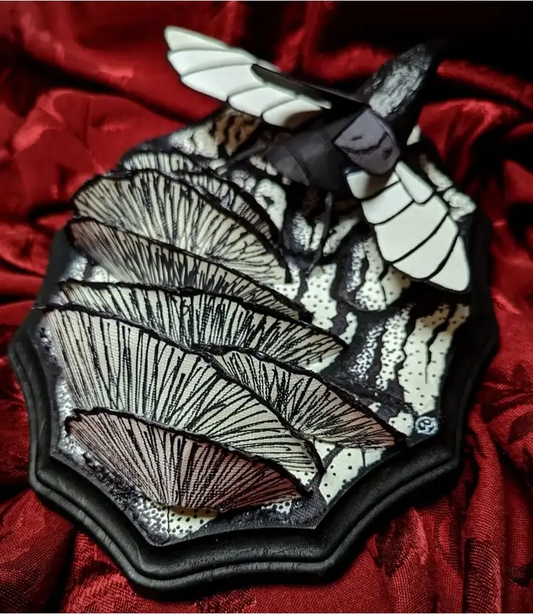 Black White Gray Beetle