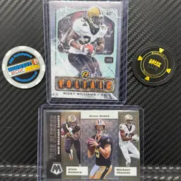 New Orleans Saints lot Brees / Ricky Williams