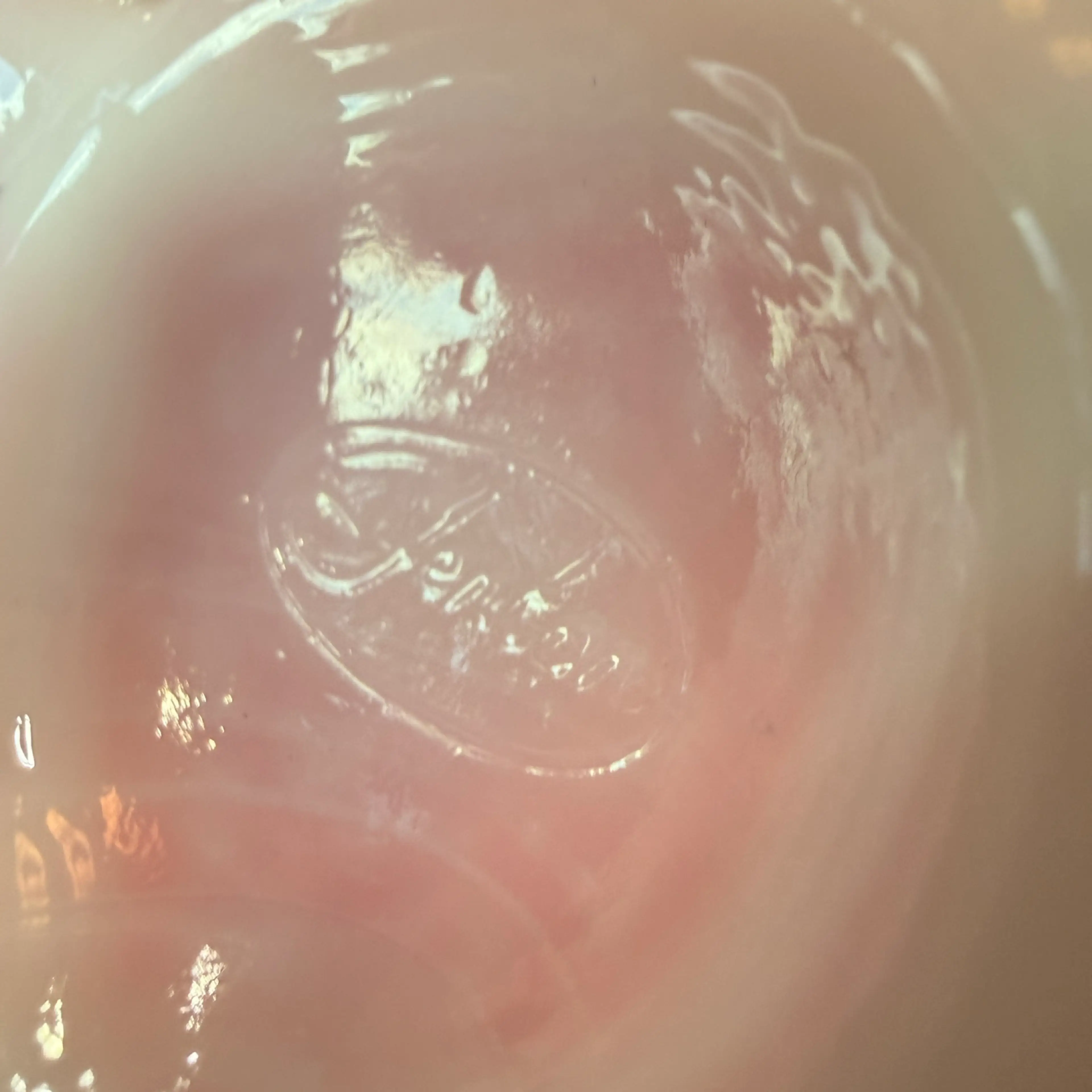 Image 5 of 5