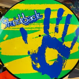 Shriekback Handprint Picture Disc Vinyl