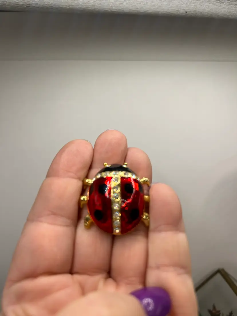 Ladybug Pin 1 1/4