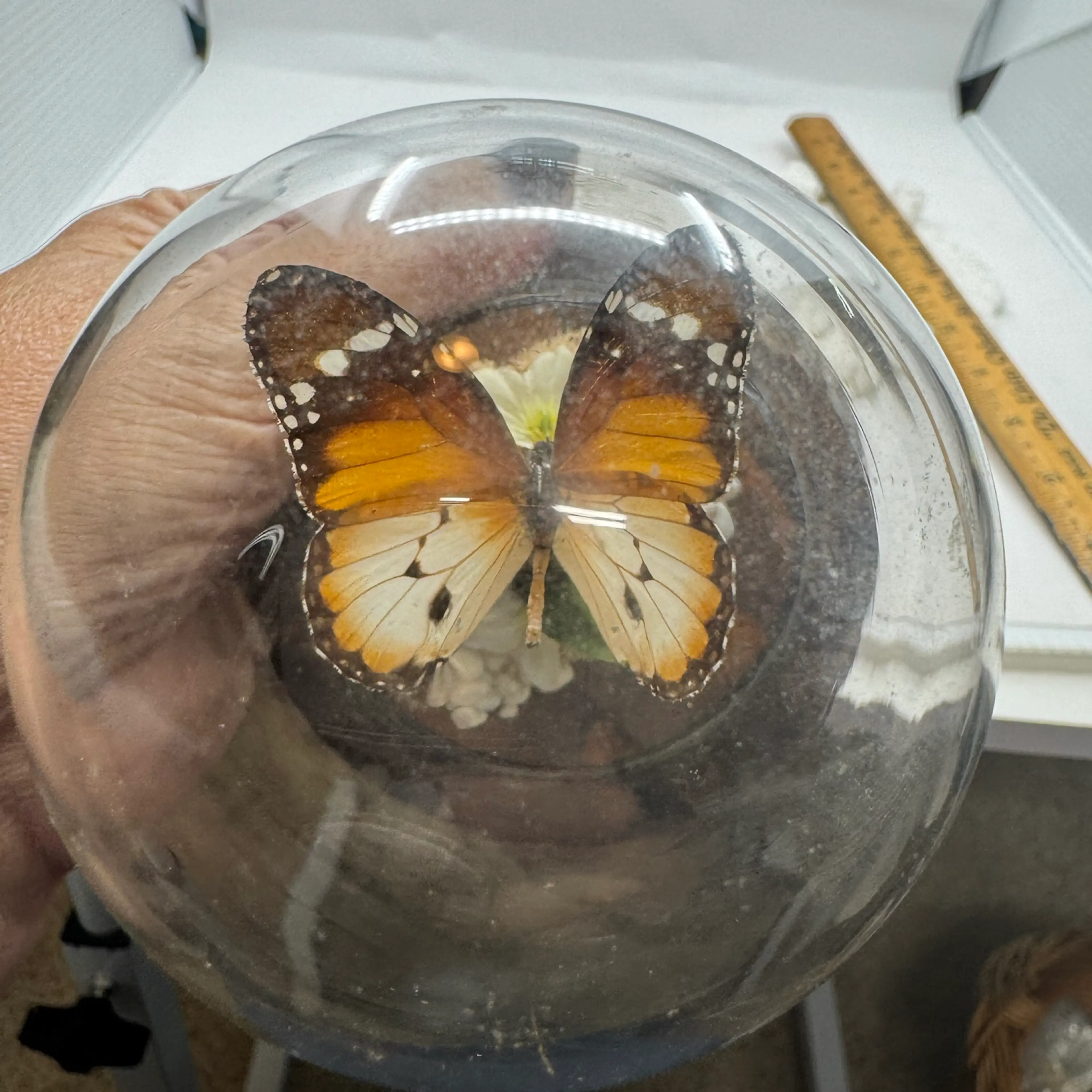 Image 4 of 4