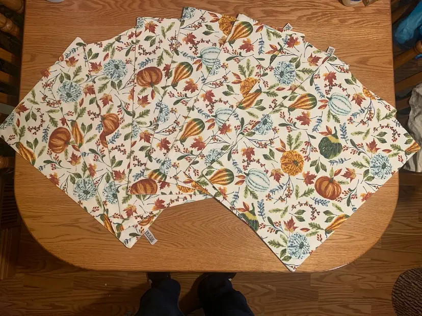 023 Set Of 8 Fall Place Mates Never Used