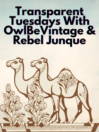 Transparent Tuesdays, You Never Know What You Will See, W/OwlBeVintage