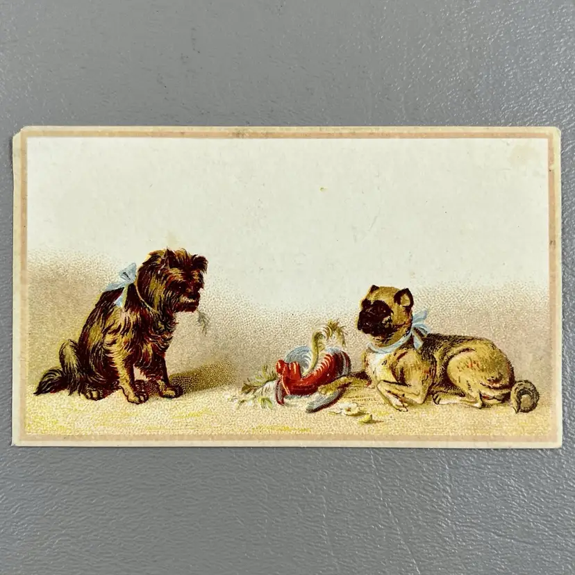 Victorian Trade Card 2 Naughty Dogs Boxer Terrier Dry Goods Boston MA 4.5x2.5"