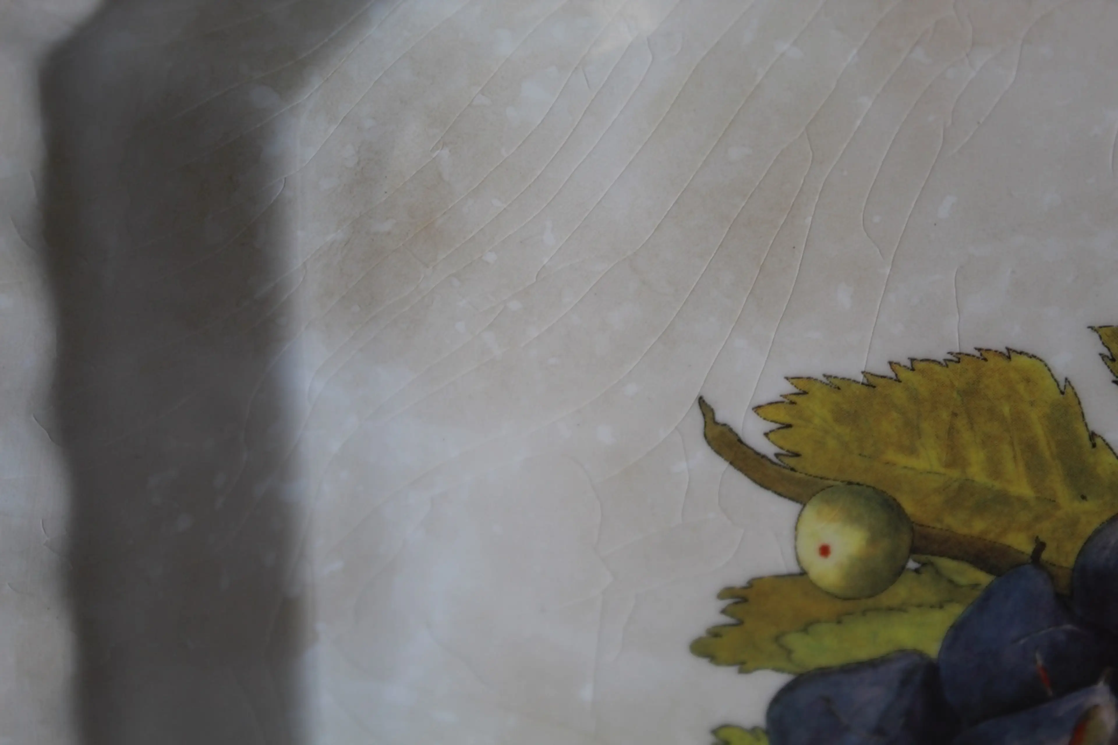 Image 4 of 11