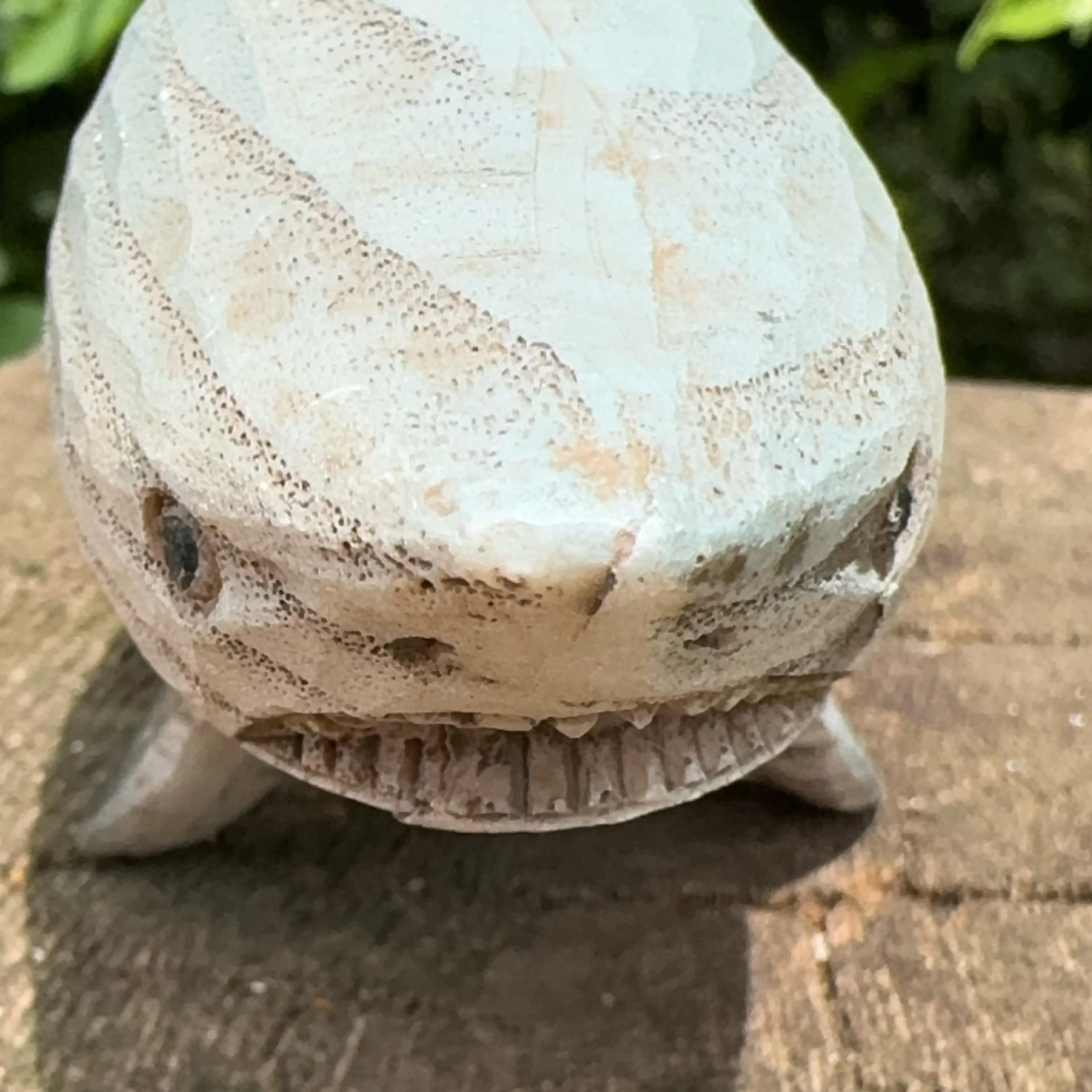 Image 4 of 5