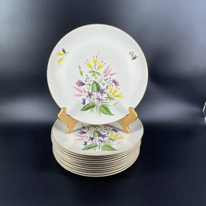 Vtg Lot 12 Pickard China April Syncron 10" Dinner Plates #1103