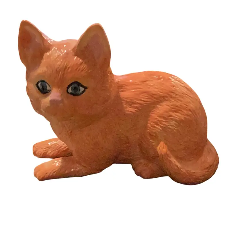 Orange Meow Meow Blue Eyes