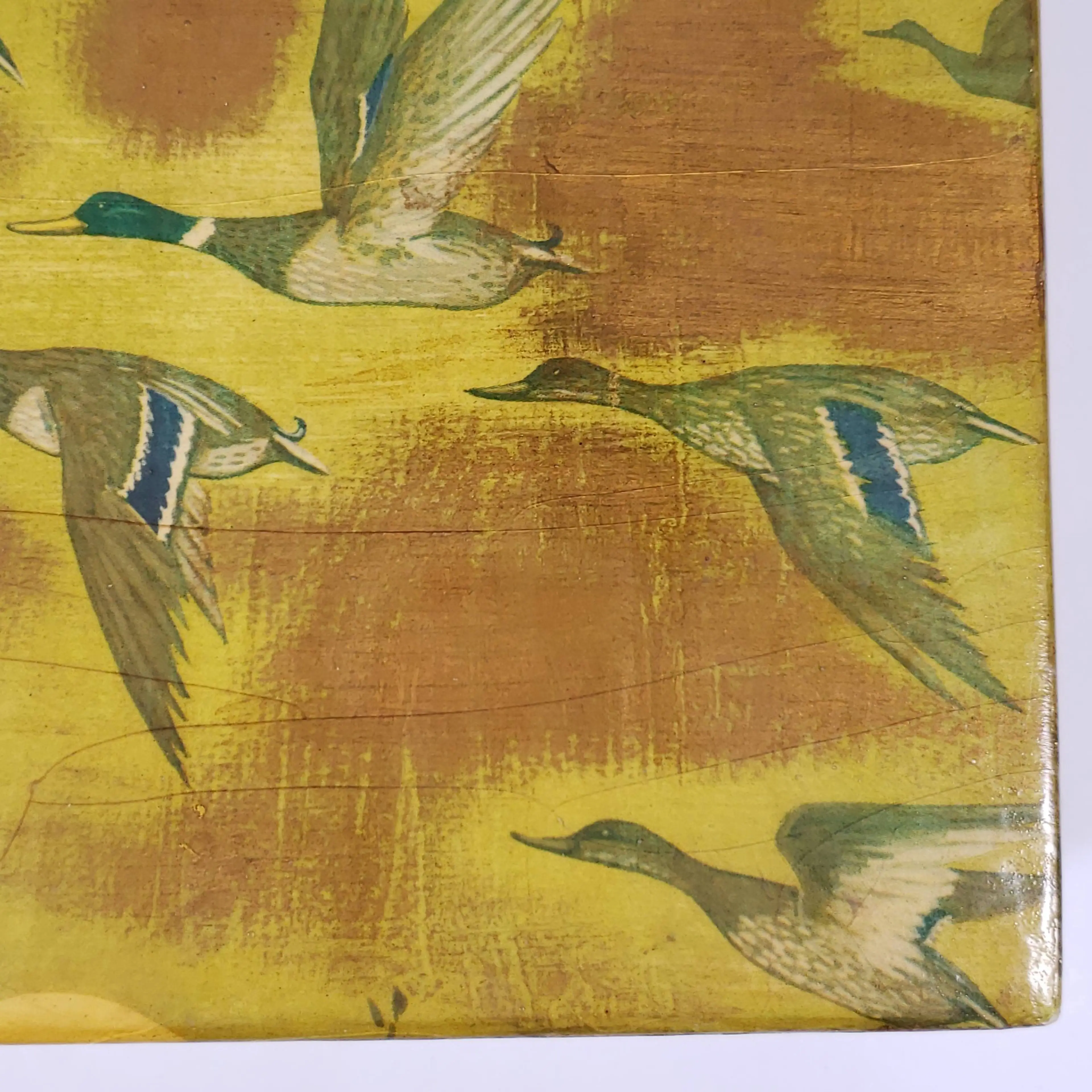 Image 5 of 20