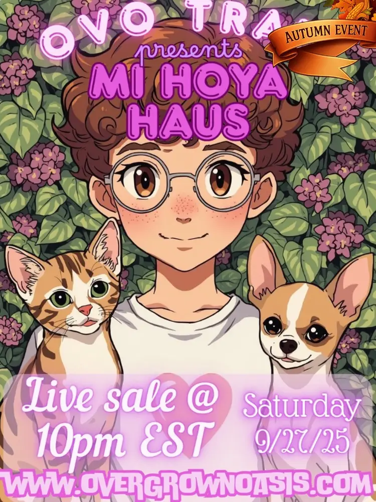 FIRST LIVE! HoyaPalooza 🥳🪴🌸