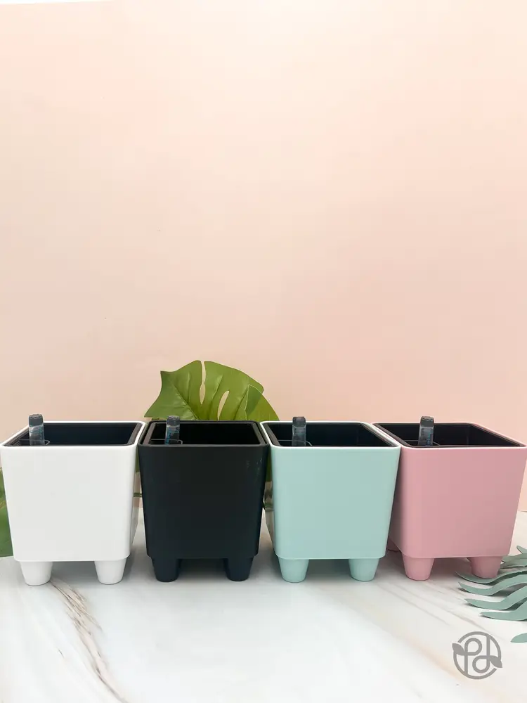 Arka Original Trellis