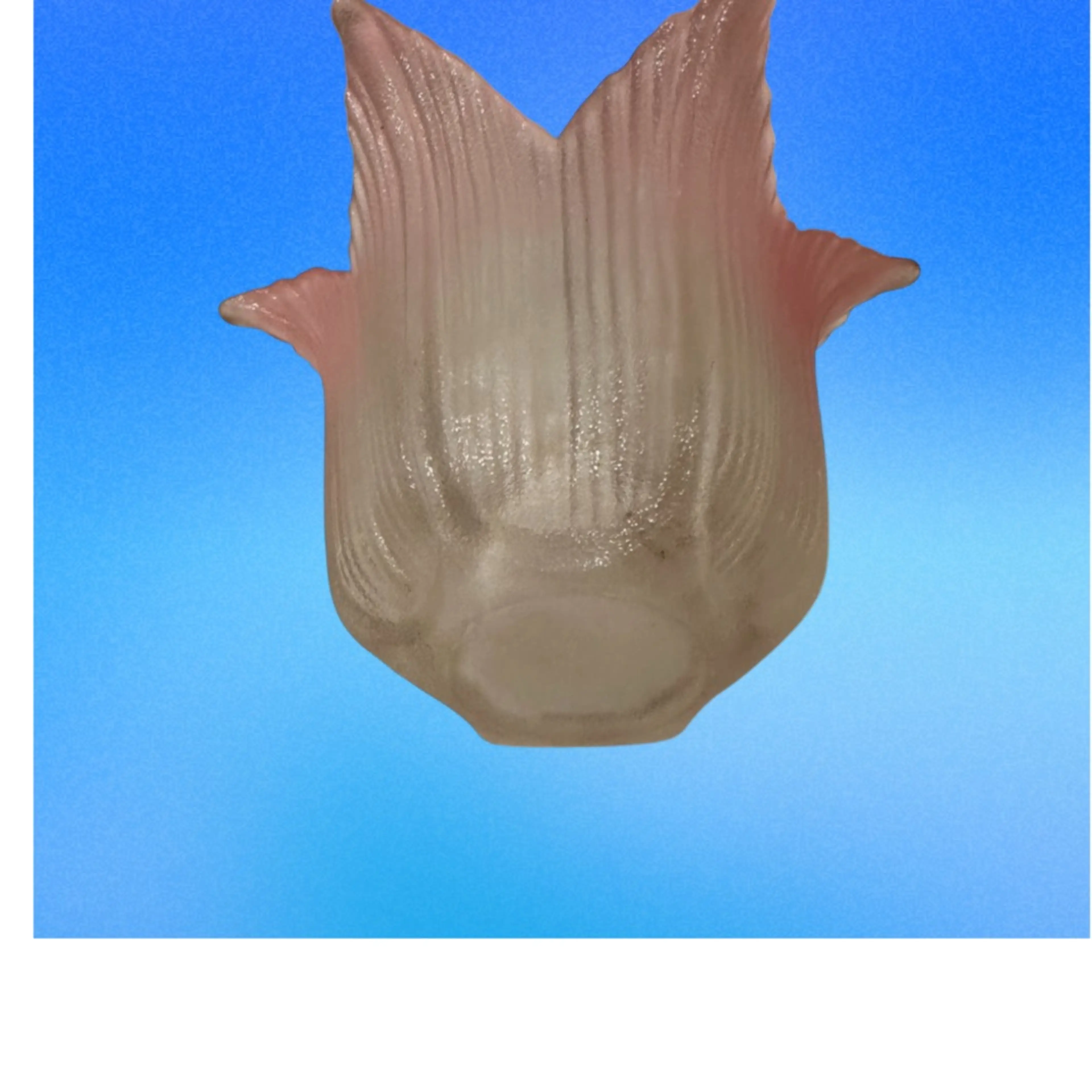 Image 3 of 4