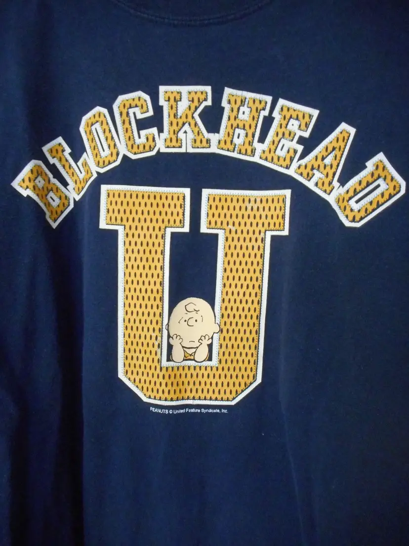 Vtg Blue Charlie Brown Blockhead U Tee T-Shirt Short Sleeve cotton blend Unisex