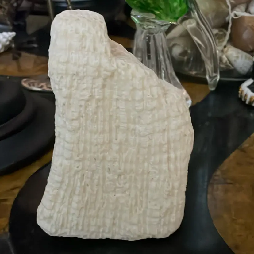 Natural Coral Specimen