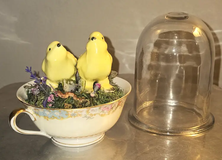 Vintage cup and chicks en cloche "Early Bird Stand-Off: The Worm"  Dome