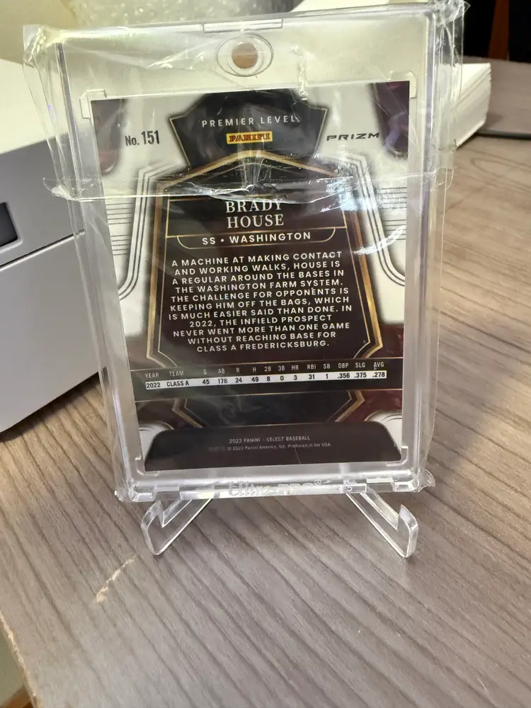 Brady House 2023 Panini Tiger Select