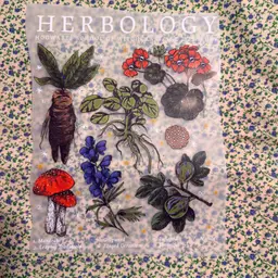 Her plight Harry Potter Black Lettering Size S-XL