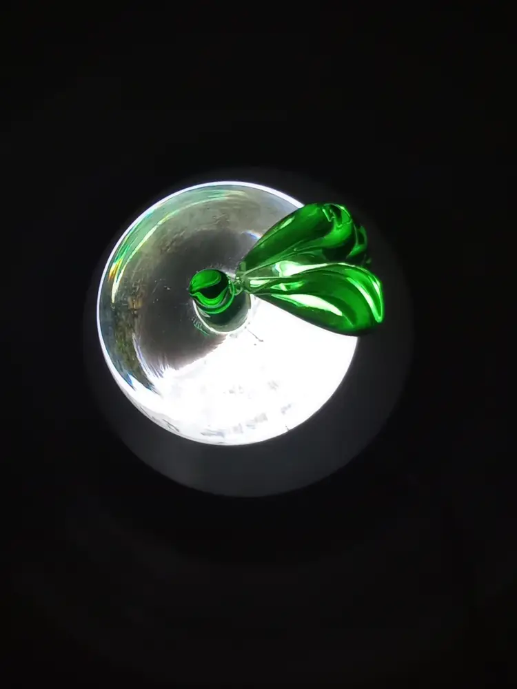 Apple paperweight w aventurine core