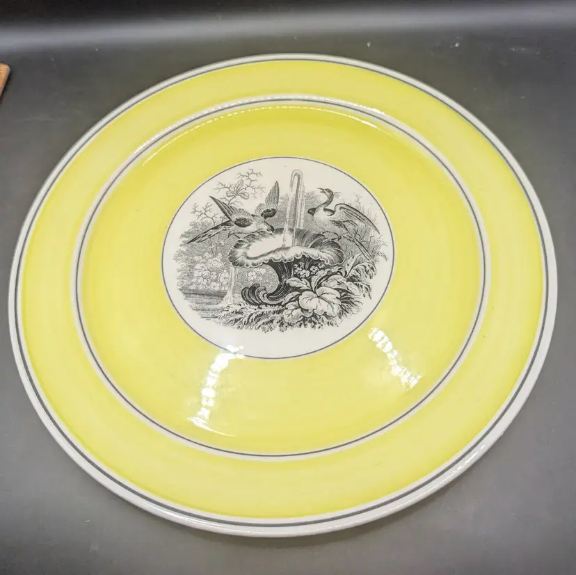 Vintage Villeroy & Boch India Mottahedeh Design Bird Plate.