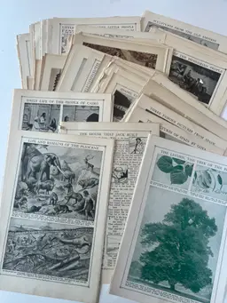 100 Antique Book Page Prints. c1912- Ephemera. Lithographs, Engravings, Graphics, Crafting, Scrapbooking, Bulk #8