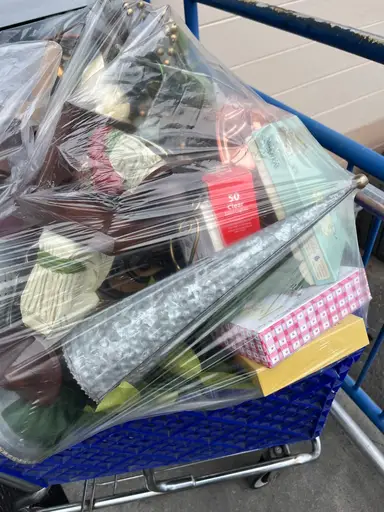 Goodwill Buns Haul And Shop The Shelves! 