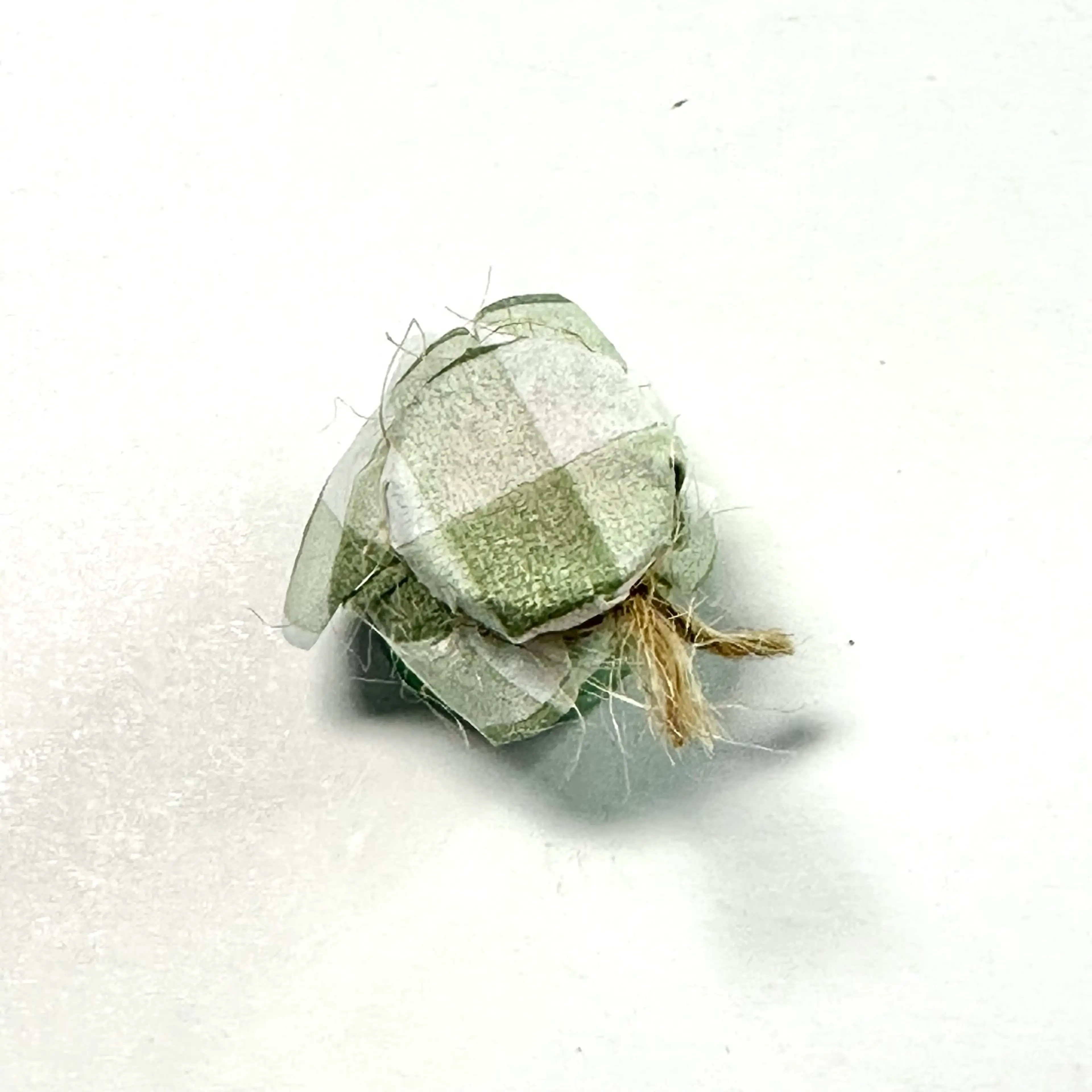 Image 5 of 7