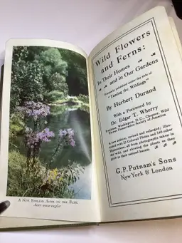 Wild Flowers And Ferns Herbert Durand Second Printing Vintage Antique Rare Book