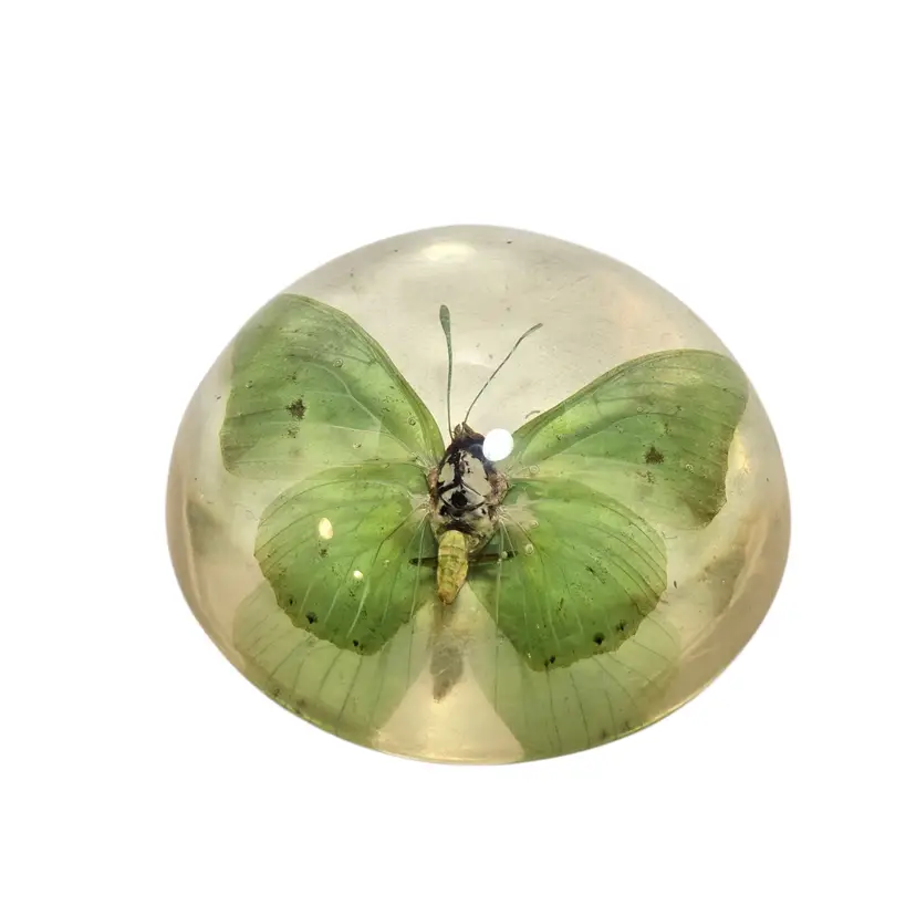 Lucite Real Butterfly Specimen Paper Weight Decor