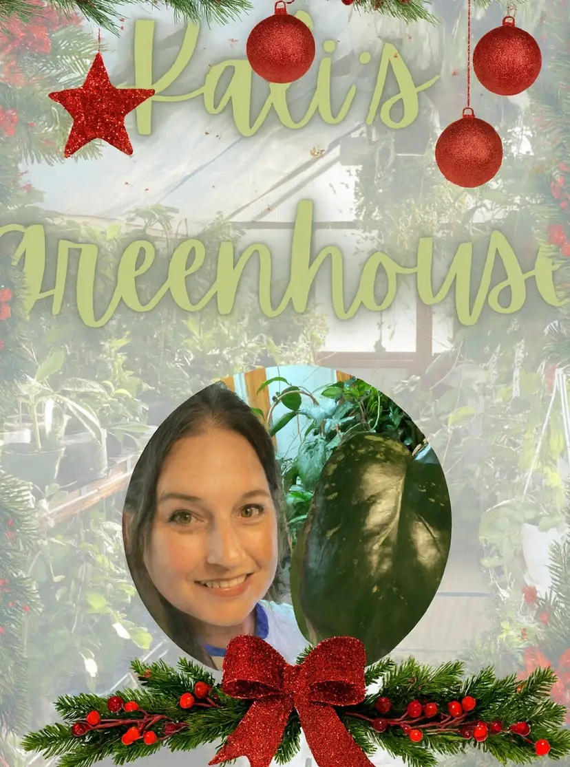 Livestream thumbnail