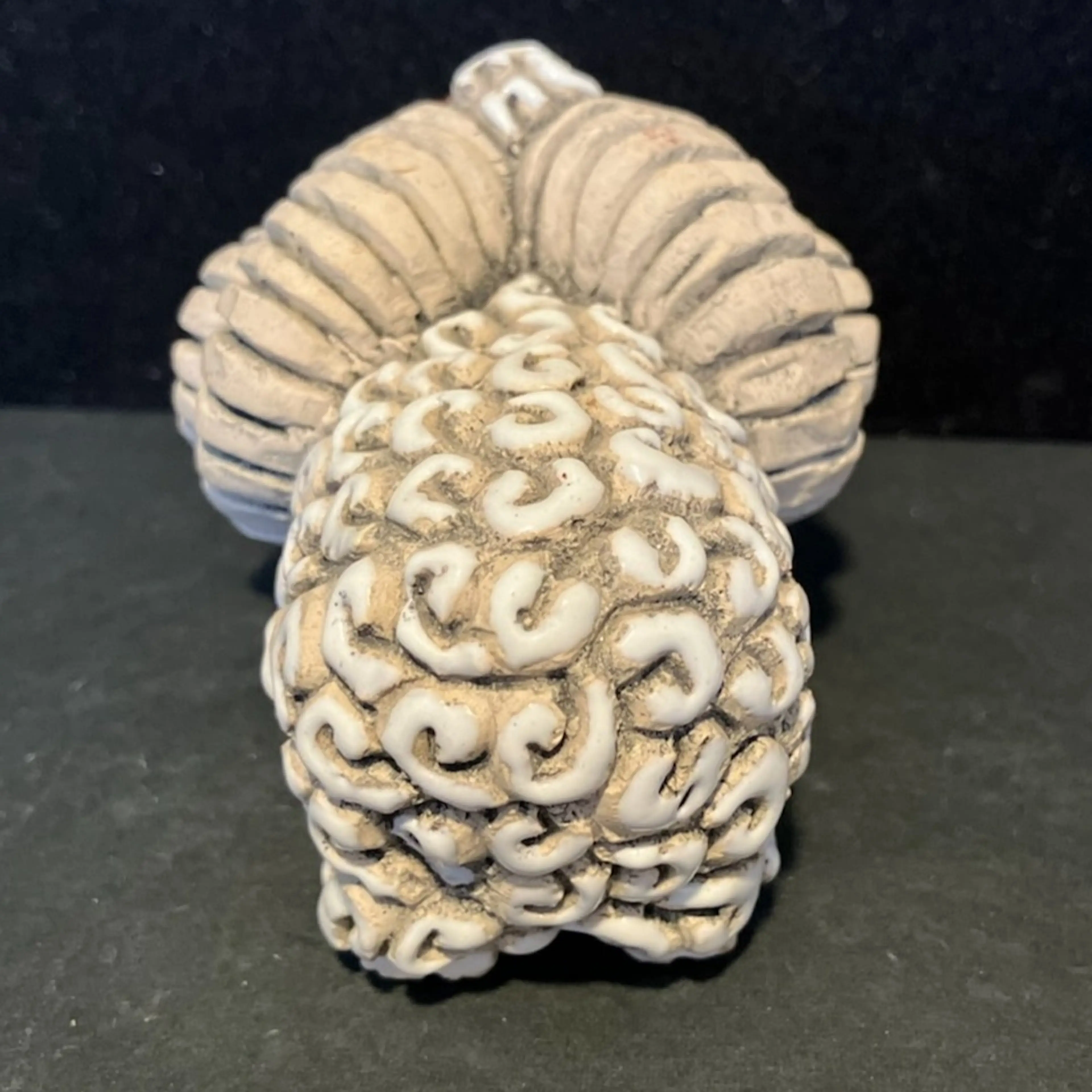 Image 4 of 10