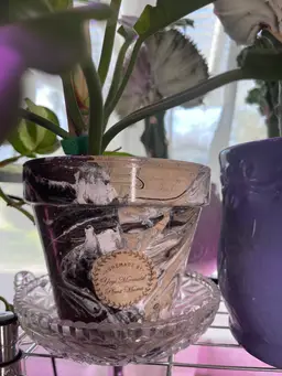 Hydro-dipped 5” Clay Pot - Black/White