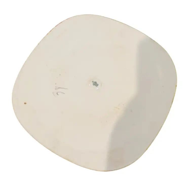 Vintage Langenthal Swiss Porcelain Children of the World Decorative Plate Trivet