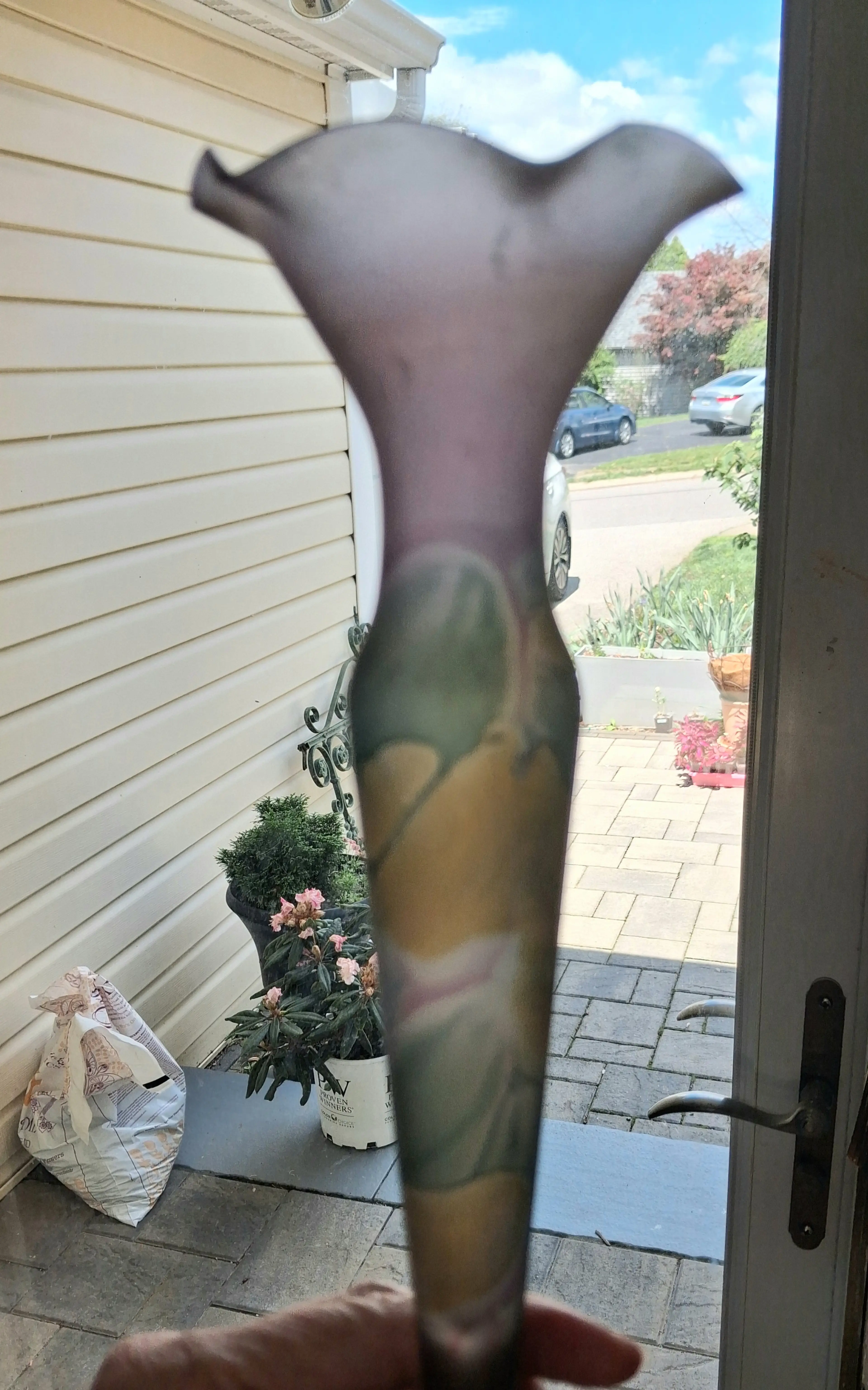 Image 5 of 5