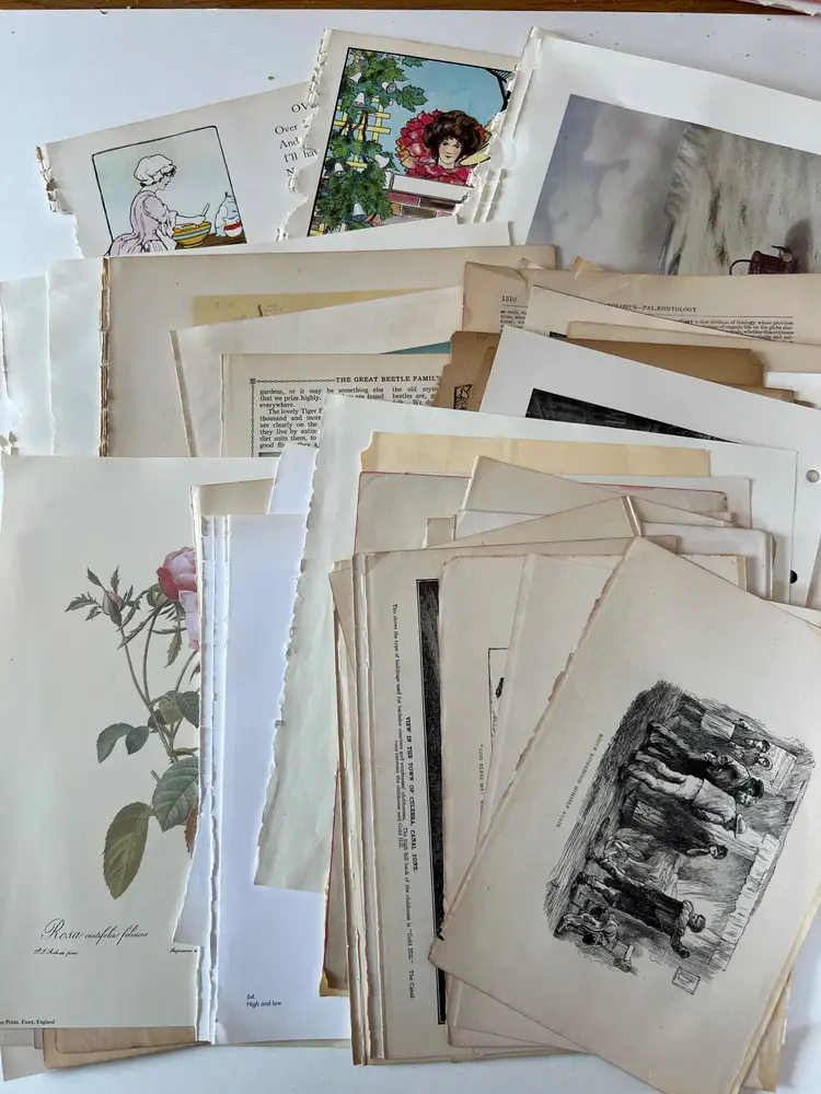 100 Antique Book Page Prints. 1800s-1900s Ephemera. Lithographs, Engravings, Graphics, Crafting, Scrapbooking, Bulk #12